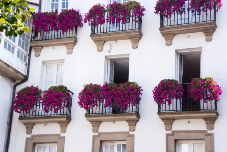 Fachada con vegetación - Transformando nuestras ciudades