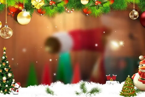 Christmas - Baysan Quality Pro S.L.