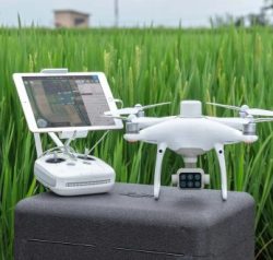 Dron DJI Phantom 4 Multiespectral
