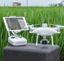 Dron DJI Phantom 4 Multiespectral